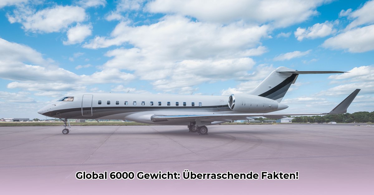 global-6000-gewicht